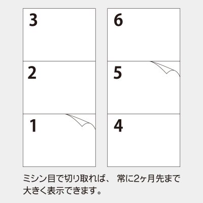 スケジュールプラン ２ヶ月 名入れカレンダー