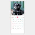 THE DOGs 名入れカレンダー