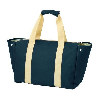 背負えるレジカゴラゲッジ