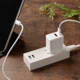 2ポートアダプター 20W