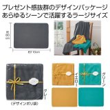 ウォームラージブランケット　１枚