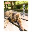 猫日和 クリーナークロス