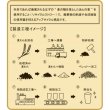 ザ・フリーカップ（麦わら配合）２個組　＃ｓｕｓｔａｉｎａｂｌｅ