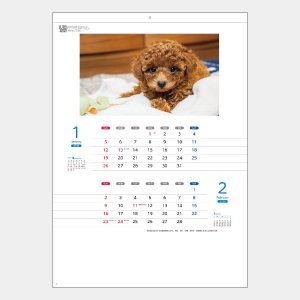 画像: ワンワンカレンダー 名入れカレンダー