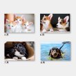 卓上　PUPPY & KITTY　パピィ＆キティ
