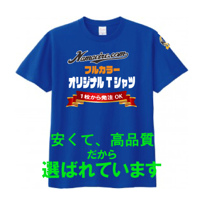 画像1: ヘビーウェイトＴシャツ　【60色 　サイズ100〜5ＸＬ】